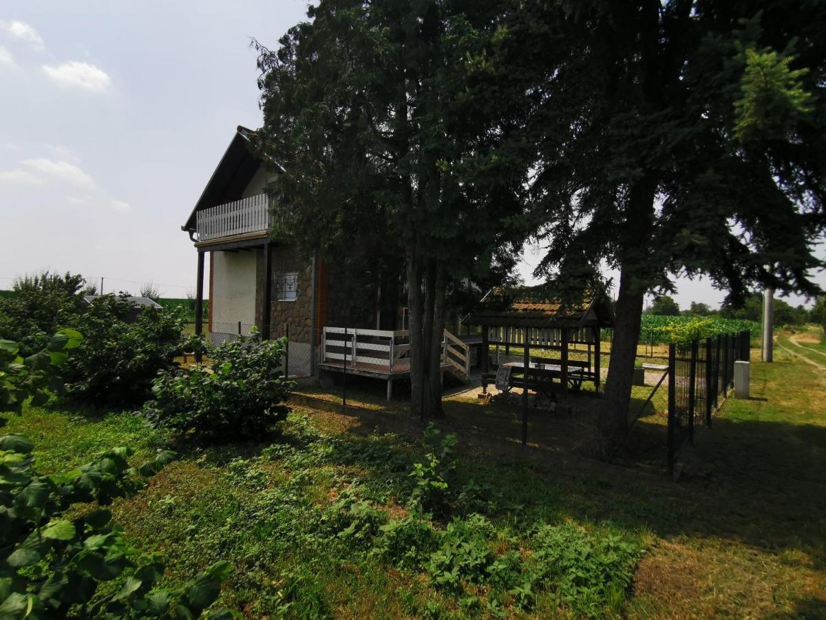 Kuca Za Odmor Bella Villa Sotin Exterior photo